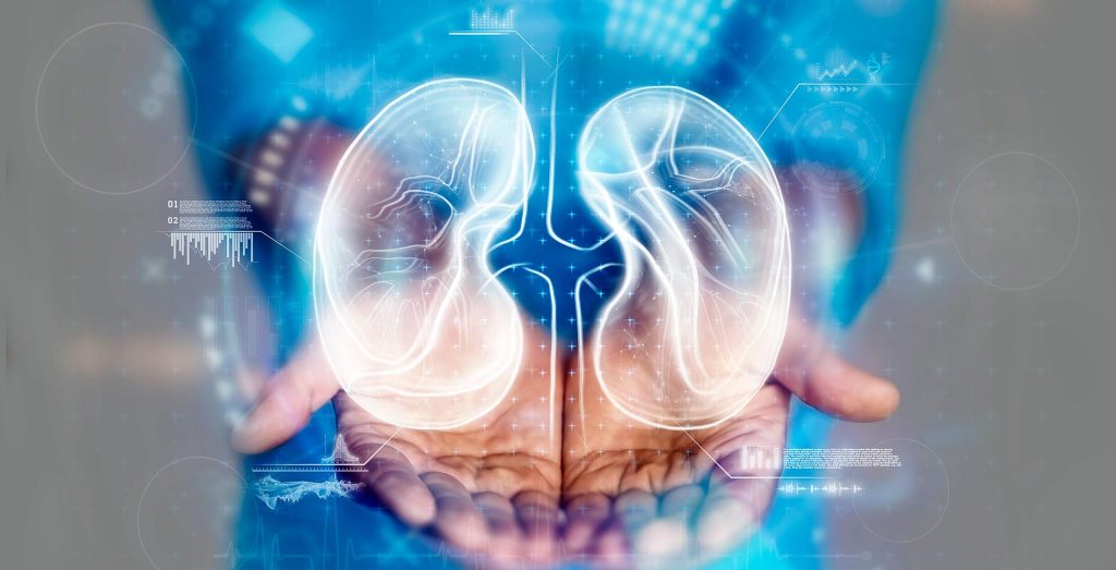 Representación médica de la salud y el funcionamiento de los riñones