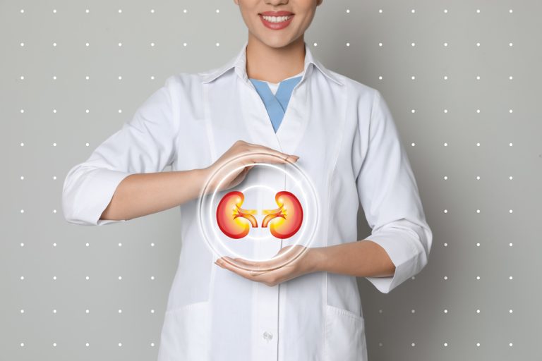 Profesional de la salud protegiendo una representación de los riñones